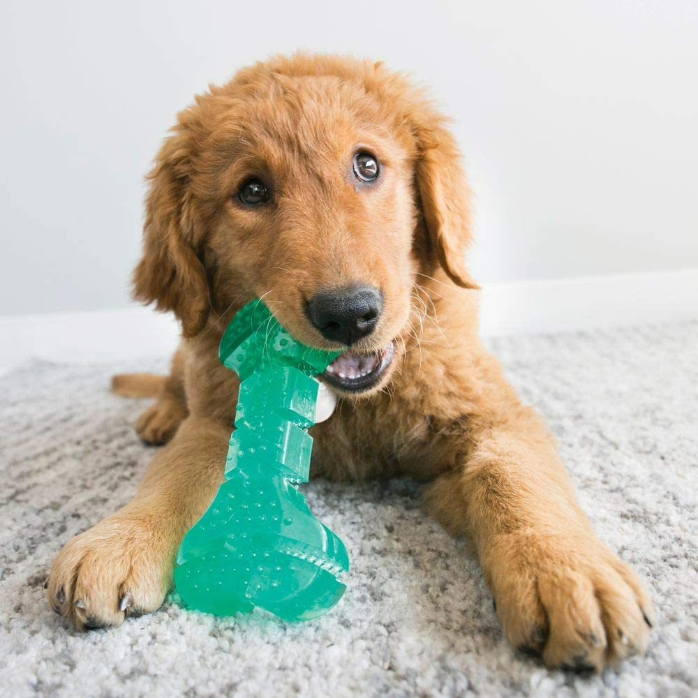 Juguete para Perro Kong - Hueso Dental Squeez Juguete para Perro Kong - Hueso Dental Squeez